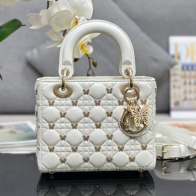 SMALL LADY D10r BAG