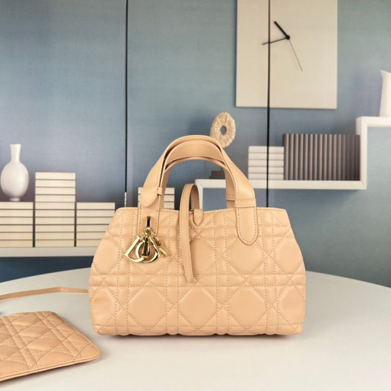 SMALL D10r TOUJOURS BAG