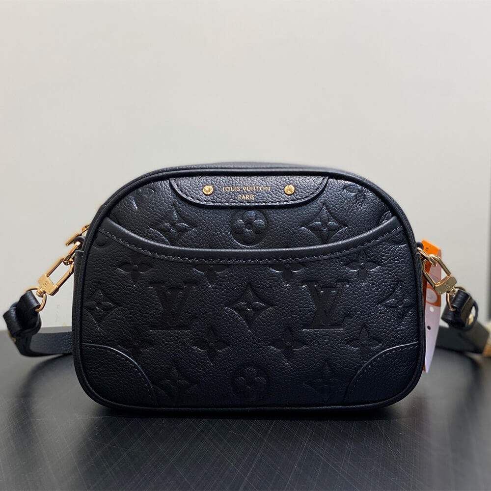 LV Tiny Camera Bag